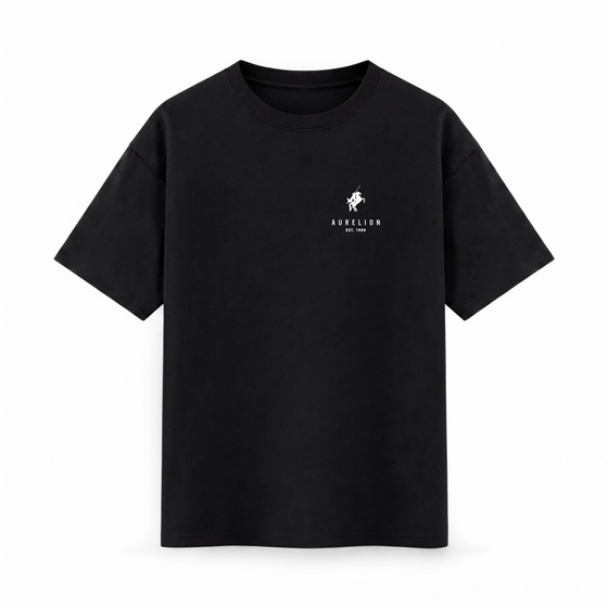 Oversize T-shirt – Luxury Minimal / 710