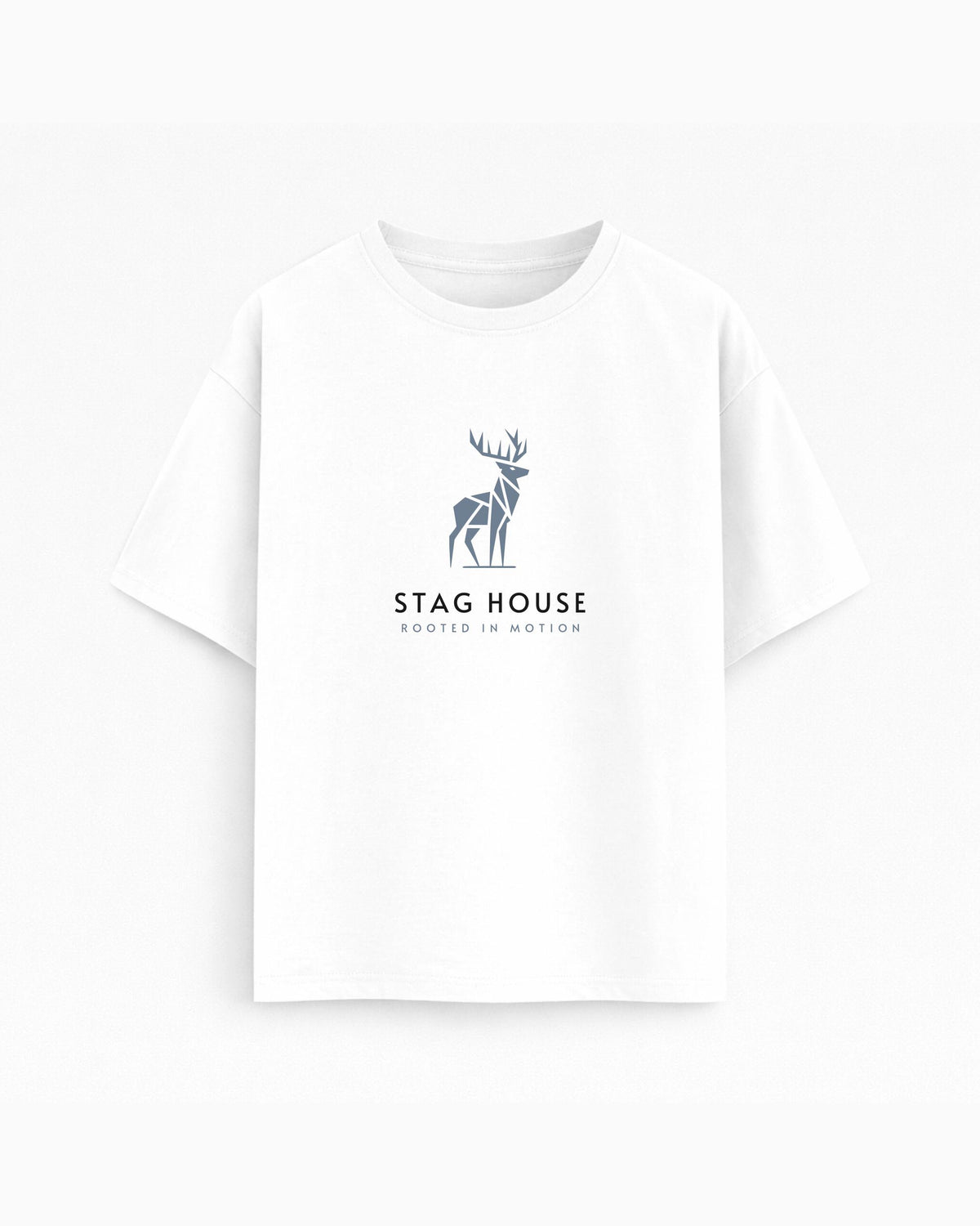 Oversize T-shirt – Geometric animal / 47